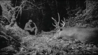 The MOST Harrowing New Bigfoot Video EVER Captured On Trail Camera!