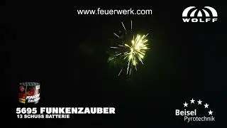 5695 Funkenzauber - Wolff