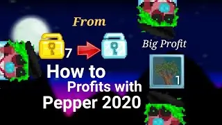 How to get profit with pepper 2020