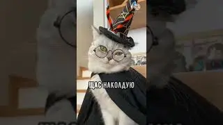 Улётный котик. New Tik Tok. Приколы Тик Ток лыба