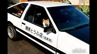 japan vlog