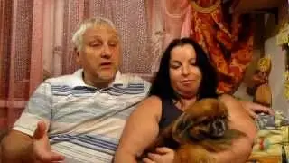 Семейная пара Косуха в шоу «Весiльний розмiр». День 2