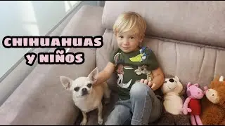 Tener perros y niños ¿Es buena idea?