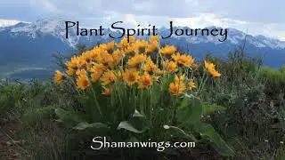 Upper World Shamanic Plant Spirit Journey:  20 minute Guided Healing Meditation