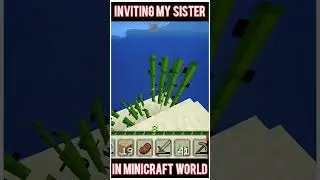 Farming Sugar Canes With My Sister in #minicraft #minecraft #shorts #fazeronaldo