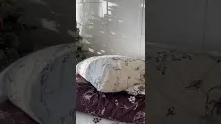 Каролина