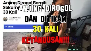 Kasihan!!! Anjing Dirogol Bergilir gilir Oleh Sekumpulan Lelaki Dan Ditikam 30 Kali