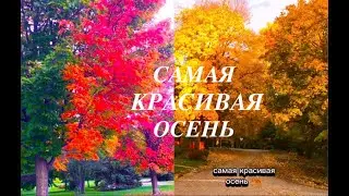 Красивая Канадская Осень! #золотаяосень #краскиосени