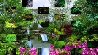Nature: FCP X transitions