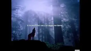Owl City -  Wolf Bite (Subtitulada en Español)