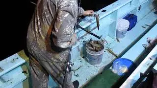 кальмар поворотный буй в заброс