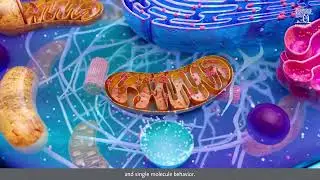 Discover Mechanobiology in Medicine Journal