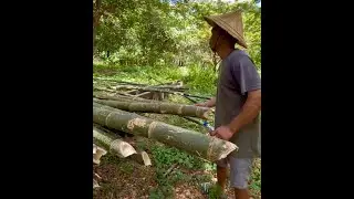 Binatak namin ang order naming kawayan sa kabilang nayon!/TALIM ISLANDER