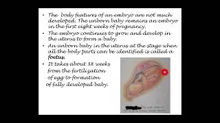 Reproduction In Animals || class 8  || Lecture 3