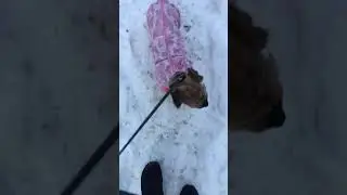 13 февраля 2019 г.