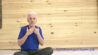 Голодание и его влияние на организм  Полная лекция