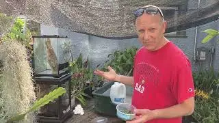 Deflasking the (Little) Ghost Orchid