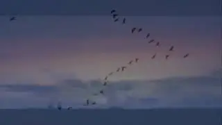 ХОР ПЕРЕСВЕТ ВИРТУОЗЫ / Журавли