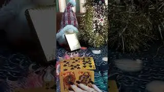 Что он решил по поводу Вас.🔮