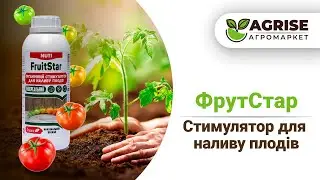 ФрутСтар: Стимулятор для Максимального Наливу Плодів!