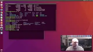 Navigating the Linux File System