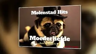 Molenstad Hits  (2002)   -   De Werkelijkheid