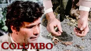 Ein Hinweis auf der Straße? | Columbo DE