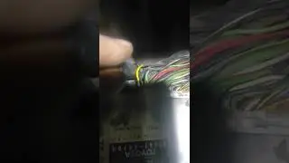 TOYOTA NADIA весеннее обострение.