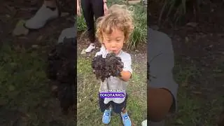 Грязь, которая лечит