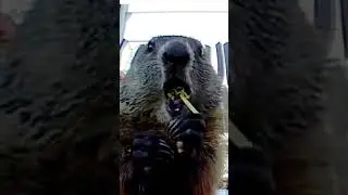 Surprised?