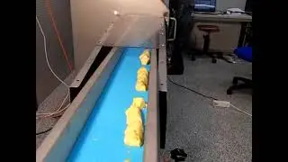 GS 10 TTS: Cut pineapple into bite-sized pieces