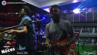 Os Necos  - Problema Emocional Ao Vivo No Beira Rio