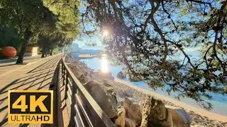 ✅️ 4K ✅️ Јутро у Новом 🌞 👋