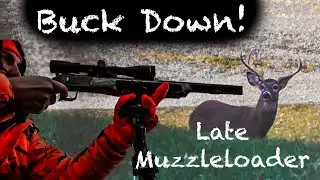 Late Muzzleloader Buck (Maryland)