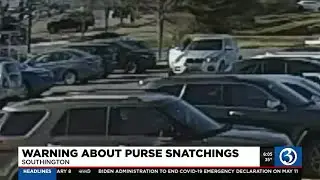 VIDEO: Police warn of purse snatchings