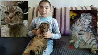 Тишка и я   мы лучшие друзья