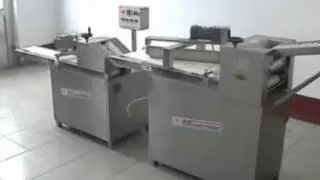 分体式