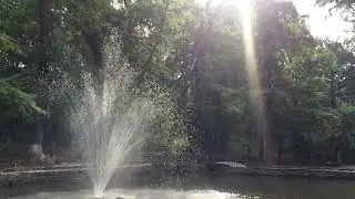 фонтан мостик лес