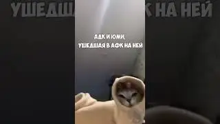 Мем про ботлейн 