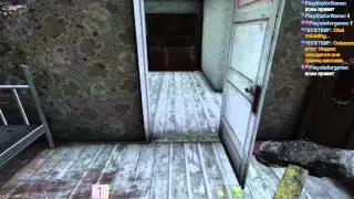 DAYZ