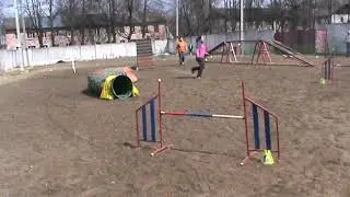 деля