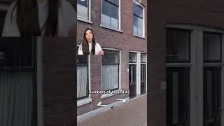 did you know Vermeer's 'Little Street' can be seen on Street View? 👀 #GoogleArtsandCulture #Vermeer