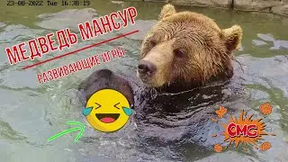 Медведь - развивающие игры с камнем в воде