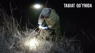 Baliq ovi .Tunda baliq 🐟 ovlashga  chiqdik 