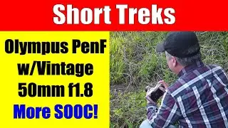 Olympus Pen F with Vintage Olympus 50mm f1.8 Woodland Photography ep.303