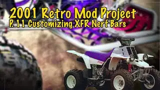 93 Banshee Retro Mod Custom Nerf Bars