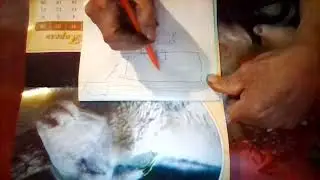Перевал Дятлова. Трусы ,купальники, чулки.