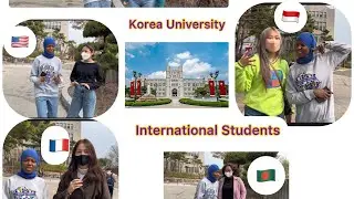 What’s Like Being An International Student in Korea 