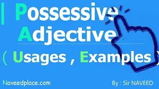 Possessive Adjectives (Definition ,With Examples)