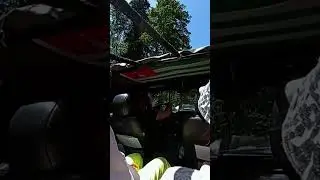 Рицинский заповедник
